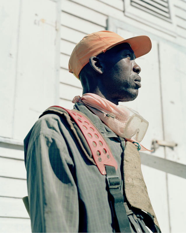 ‘Wait-and-See Pudding with Patience Sauce’