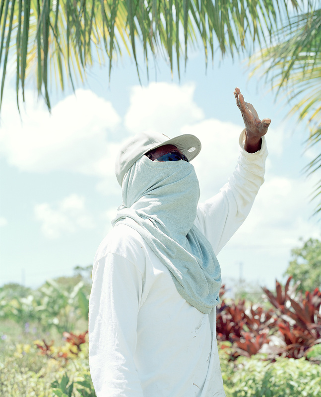 ‘Wait-and-See Pudding with Patience Sauce’